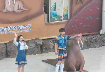 杭州长乔极地海洋公园第 58 张图片