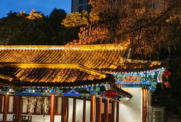 兴庆宫公园第 31 张图片