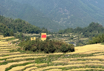 云和梯田景区第 50 张图片