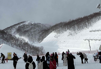 GALA汤泽滑雪场第 24 张图片