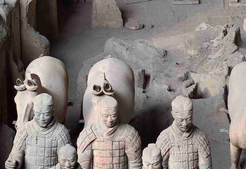 秦始皇帝陵博物院(兵马俑)第 543 张图片