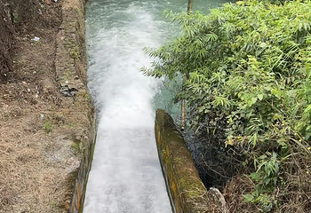 百色大王岭漂流景区第 29 张图片