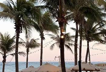 海棠湾第 54 张图片