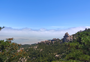 崂山风景区第 133 张图片