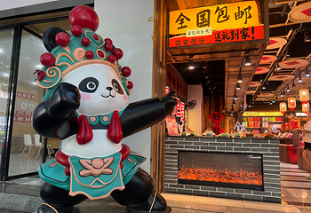 宽窄巷子第 9 张图片