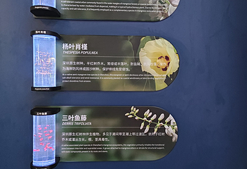 深圳科学技术馆第 9 张图片