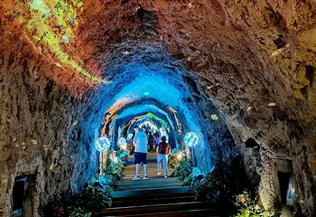 秦岭天竺山生态文化旅游景区第 52 张图片