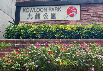 九龙公园第 43 张图片