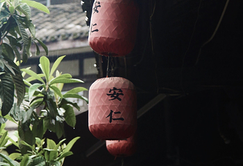 安仁古镇第 197 张图片