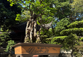 成都杜甫草堂博物馆第 315 张图片