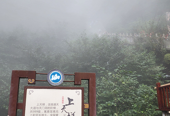天门山国家森林公园第 743 张图片