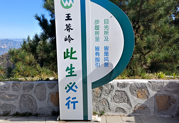 王莽岭风景区第 64 张图片