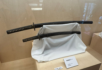 武家屋敷迹 野村家第 19 张图片