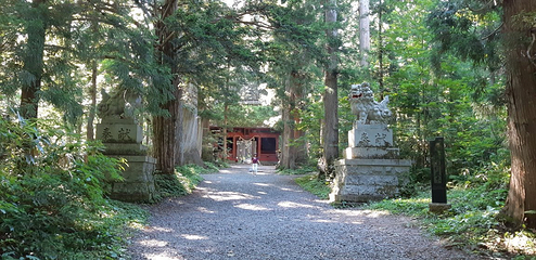 户隐神社第 9 张图片