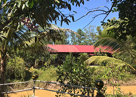 富国岛蜜蜂农场