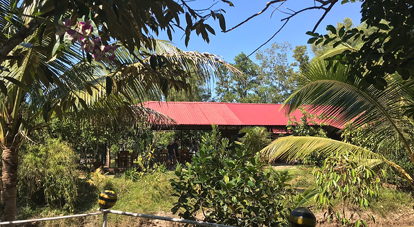 富国岛蜜蜂农场