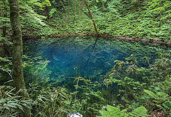 青池第 6 张图片