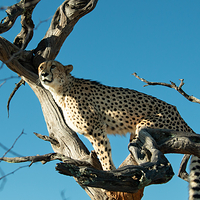 Naankuse Wildlife Sanctuary