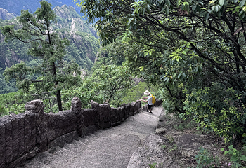 黄山风景区第 438 张图片