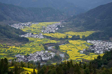 江岭景区第 87 张图片