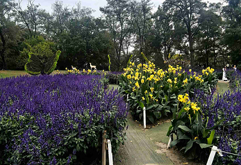 沈阳植物园第 93 张图片