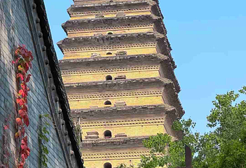 小雁塔遗址公园第 62 张图片