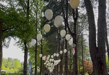 南怡岛第 125 张图片