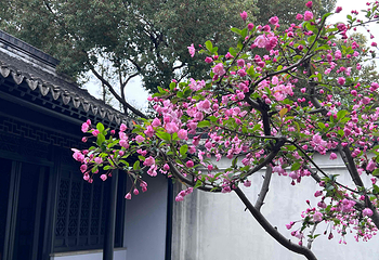 木渎古镇第 30 张图片