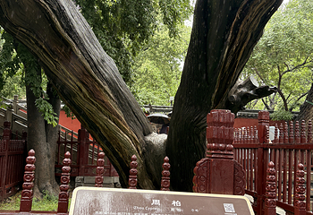 晋祠博物馆第 297 张图片