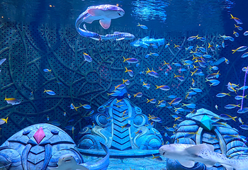 三亚亚特兰蒂斯失落的空间水族馆第 84 张图片