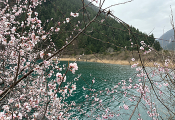 九寨沟风景区第 467 张图片