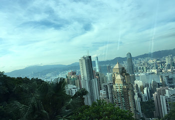 太平山顶第 268 张图片