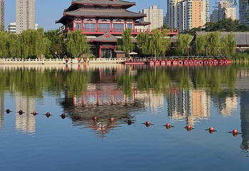 兴庆宫公园第 70 张图片