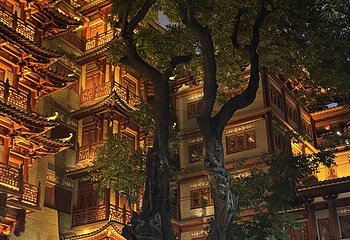 大佛古寺第 148 张图片