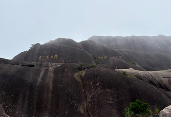 黄山风景区第 483 张图片