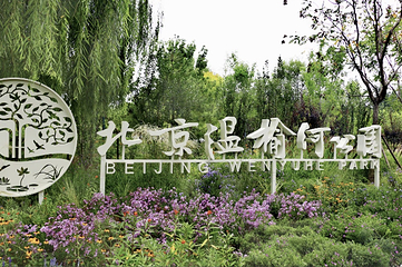 北京温榆河公园第 36 张图片