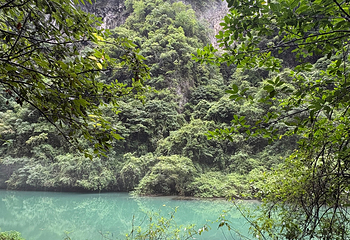 张家界大峡谷第 131 张图片