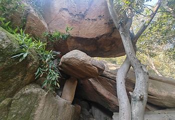 天平山第 108 张图片