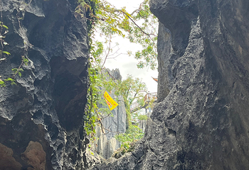 石林风景区第 232 张图片