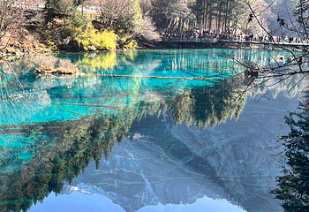九寨沟风景区第 374 张图片
