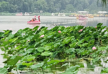 玄武湖景区第 137 张图片