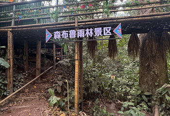 基诺山雨林徒步第 67 张图片