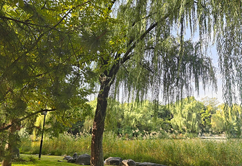 西安曲江池遗址公园第 44 张图片