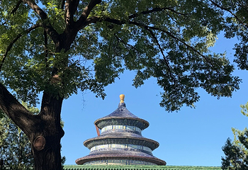 天坛公园第 267 张图片