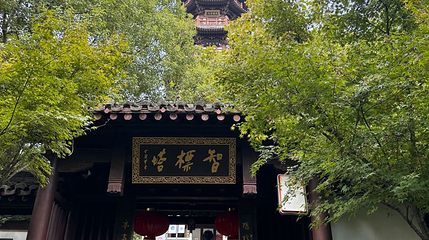 智标塔第 1 张图片