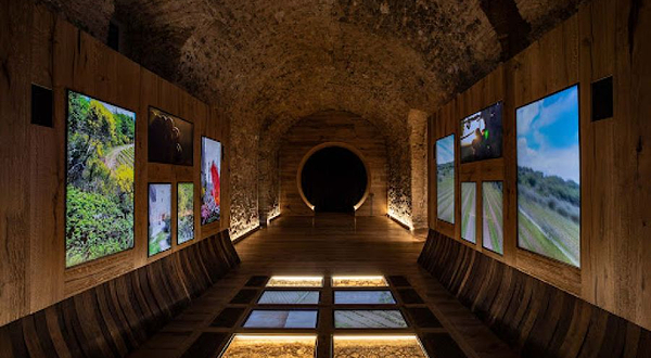 Tempio del Brunello - Interactive Museum