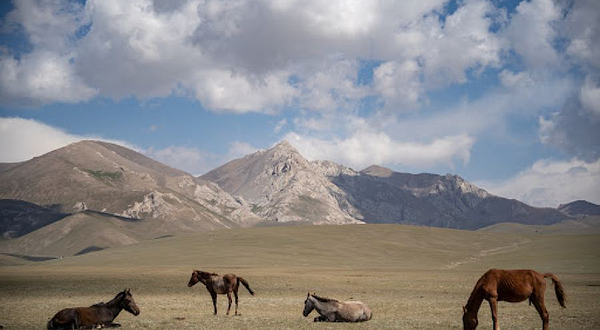 Rima Yurt Camp (Kyrgyzstan Song Kol Lake)