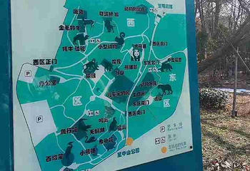 青岛动物园第 31 张图片