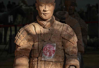 秦始皇帝陵博物院(兵马俑)第 202 张图片