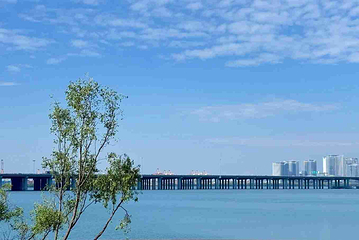 欢乐港湾第 17 张图片
